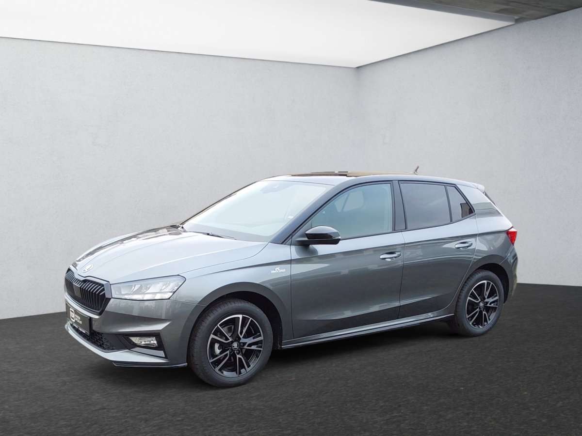 Fahrzeugbild eines Skoda Fabia