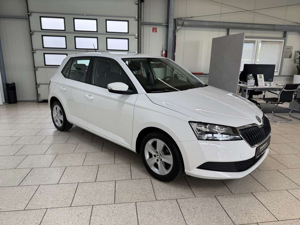 Fahrzeugbild eines Skoda Fabia