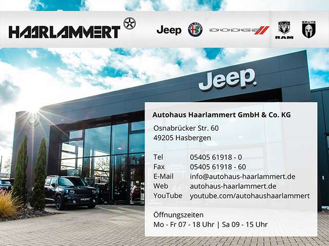 Fahrzeugbild eines Alfa Romeo Junior