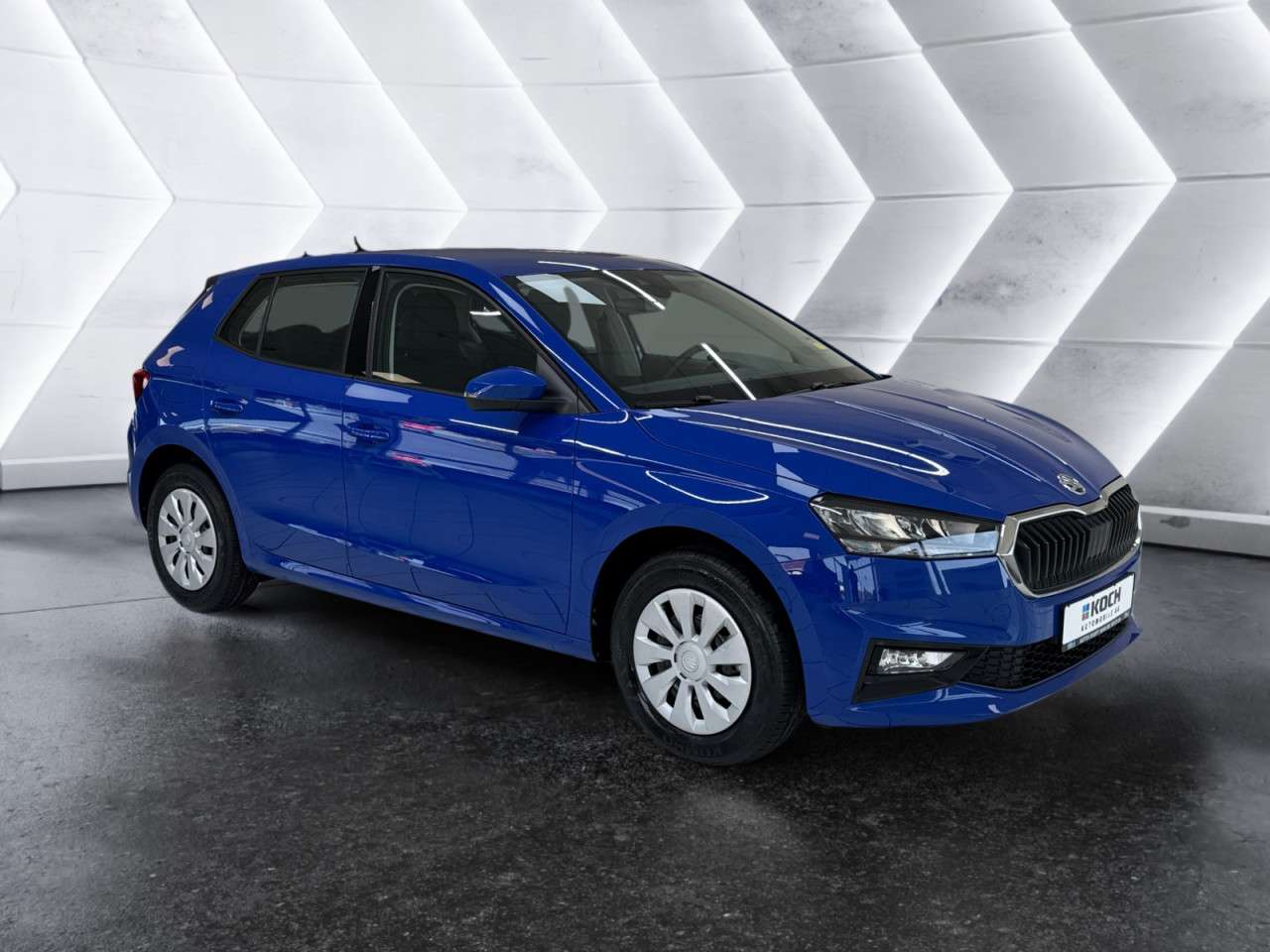 Fahrzeugbild eines Skoda Fabia