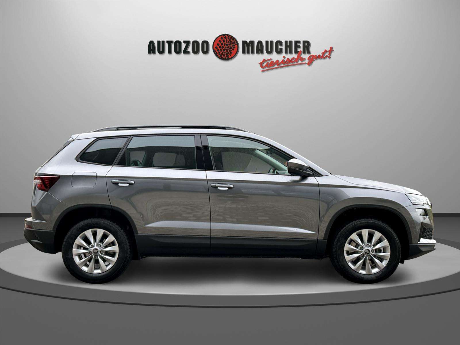 Fahrzeugbild eines Skoda Karoq