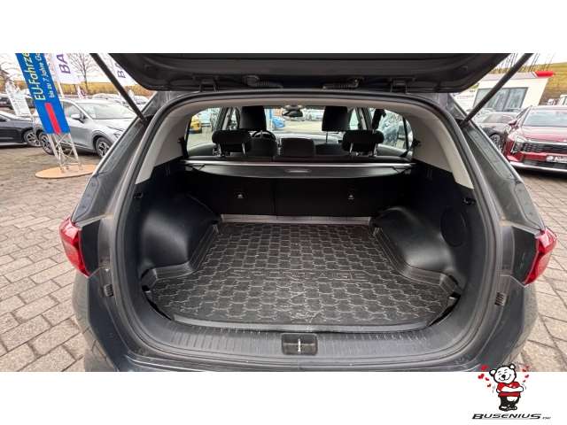 Fahrzeugbild eines Kia Sportage