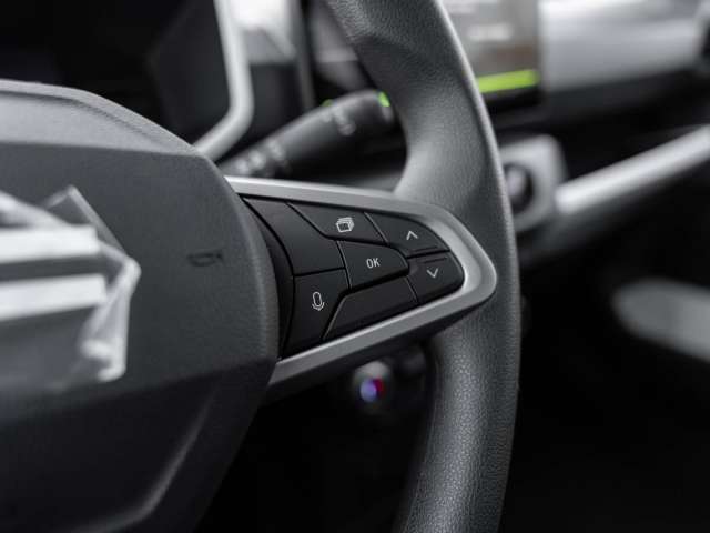 Fahrzeugbild eines Dacia Spring