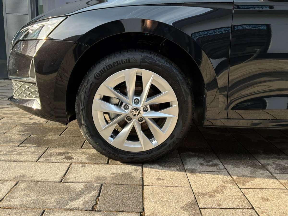 Fahrzeugbild eines Skoda Octavia