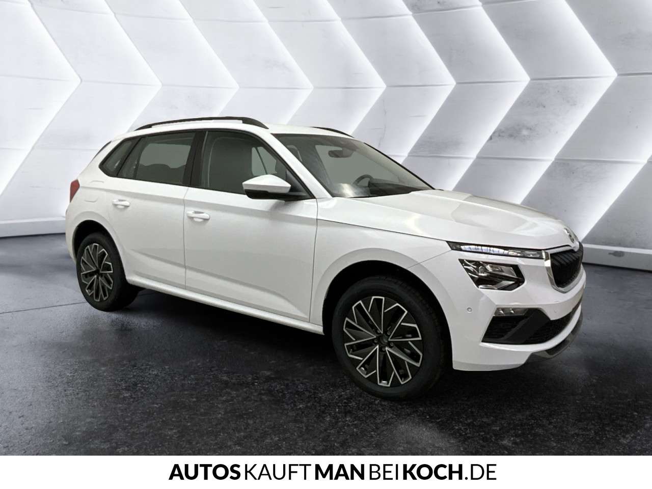 Fahrzeugbild eines Skoda Kamiq