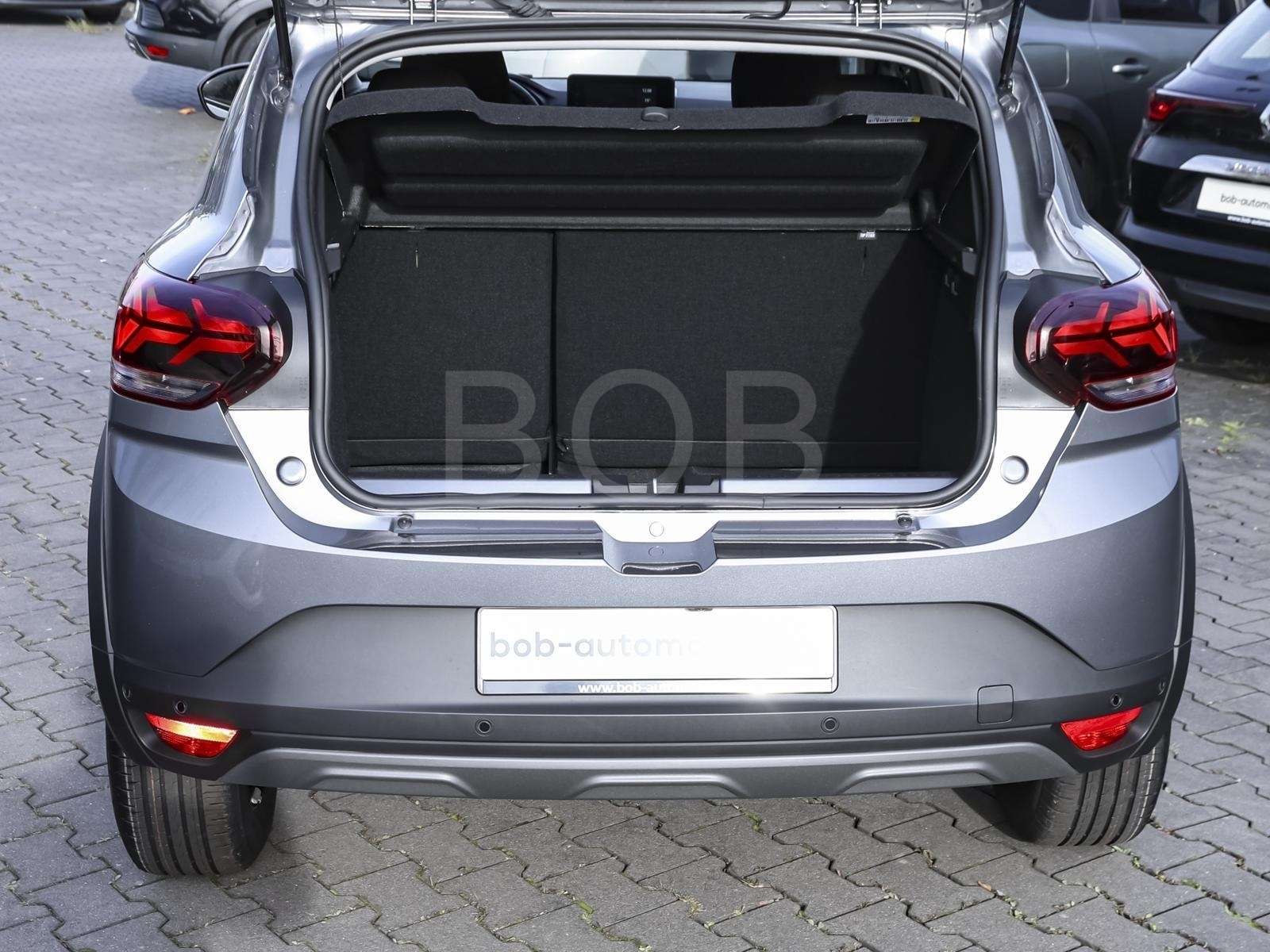 Fahrzeugbild eines Dacia Sandero