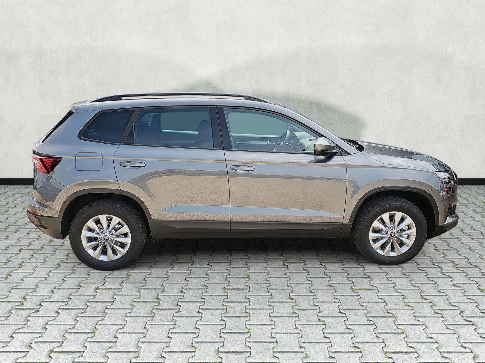 Fahrzeugbild eines Skoda Karoq