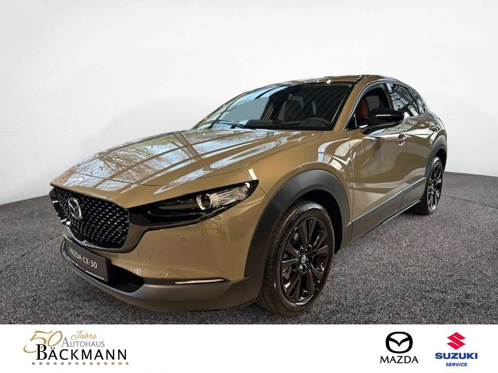Fahrzeugbild eines Mazda CX-30