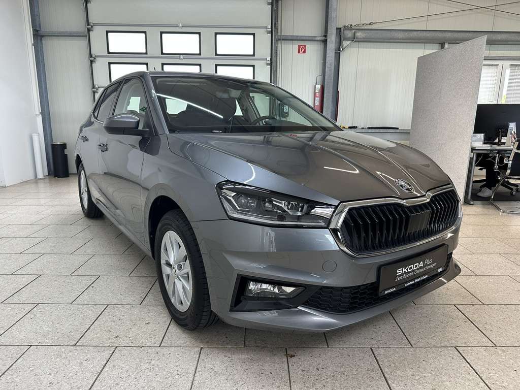 Fahrzeugbild eines Skoda Fabia