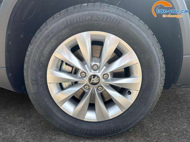 Fahrzeugbild eines Skoda Karoq