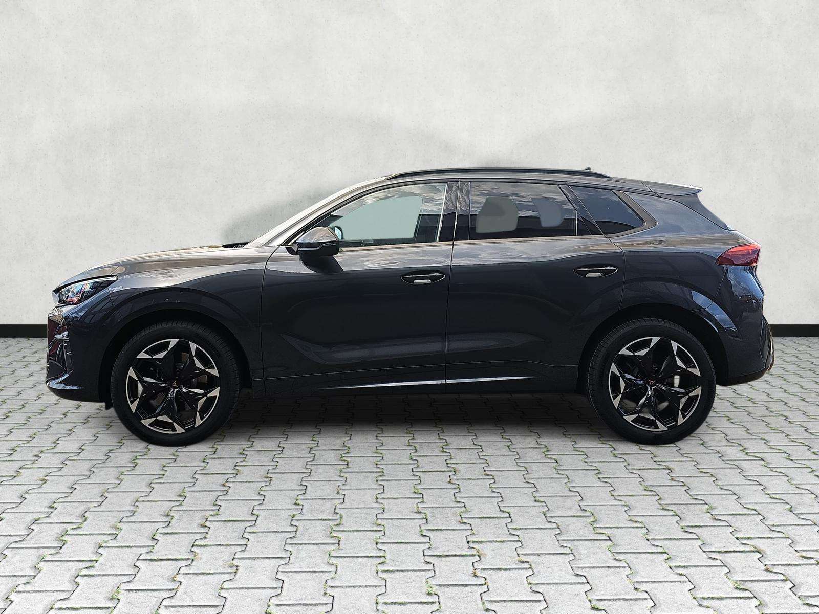 Fahrzeugbild eines CUPRA Terramar