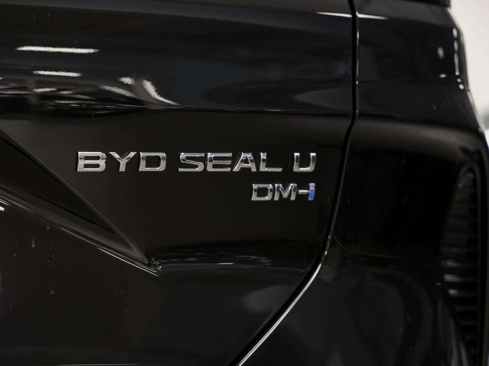 Fahrzeugbild eines BYD Seal U
