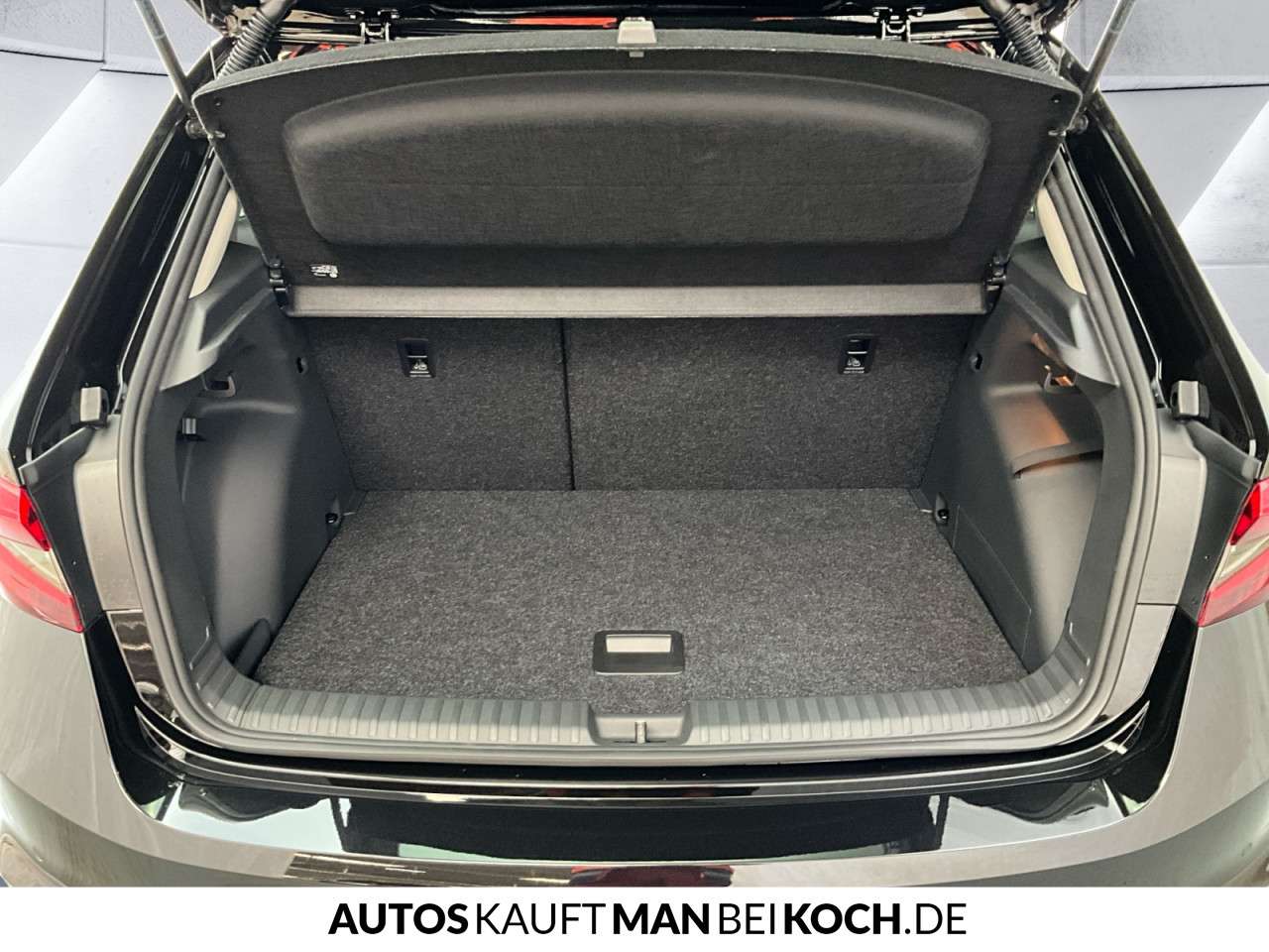 Fahrzeugbild eines Skoda Fabia