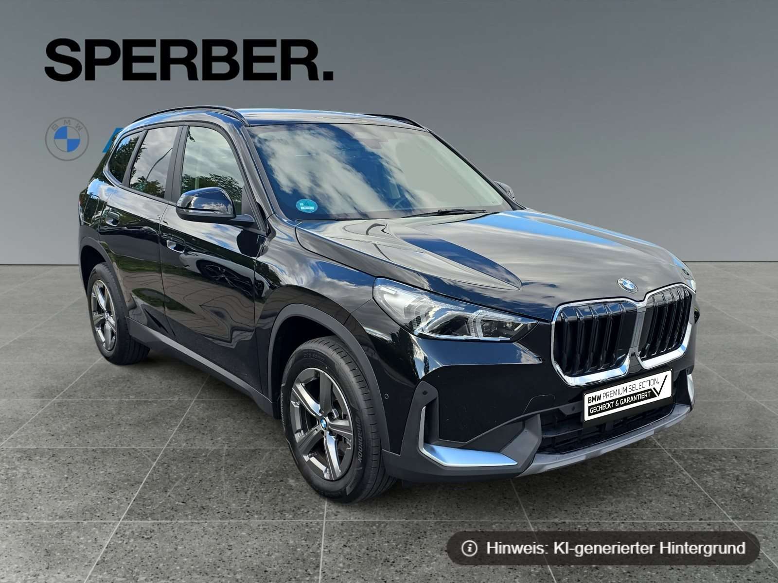 Fahrzeugbild eines BMW X1