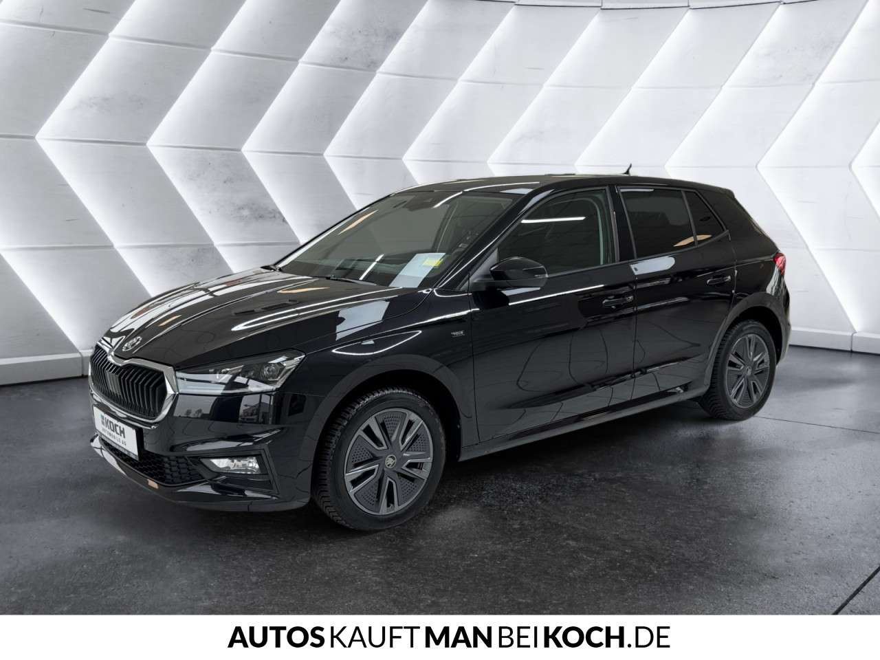 Fahrzeugbild eines Skoda Fabia