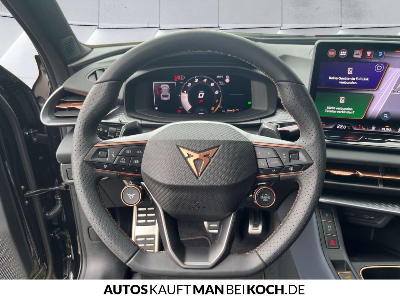 Fahrzeugbild eines CUPRA Terramar
