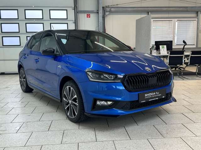 Fahrzeugbild eines Skoda Fabia