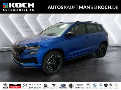 Bild Skoda Karoq