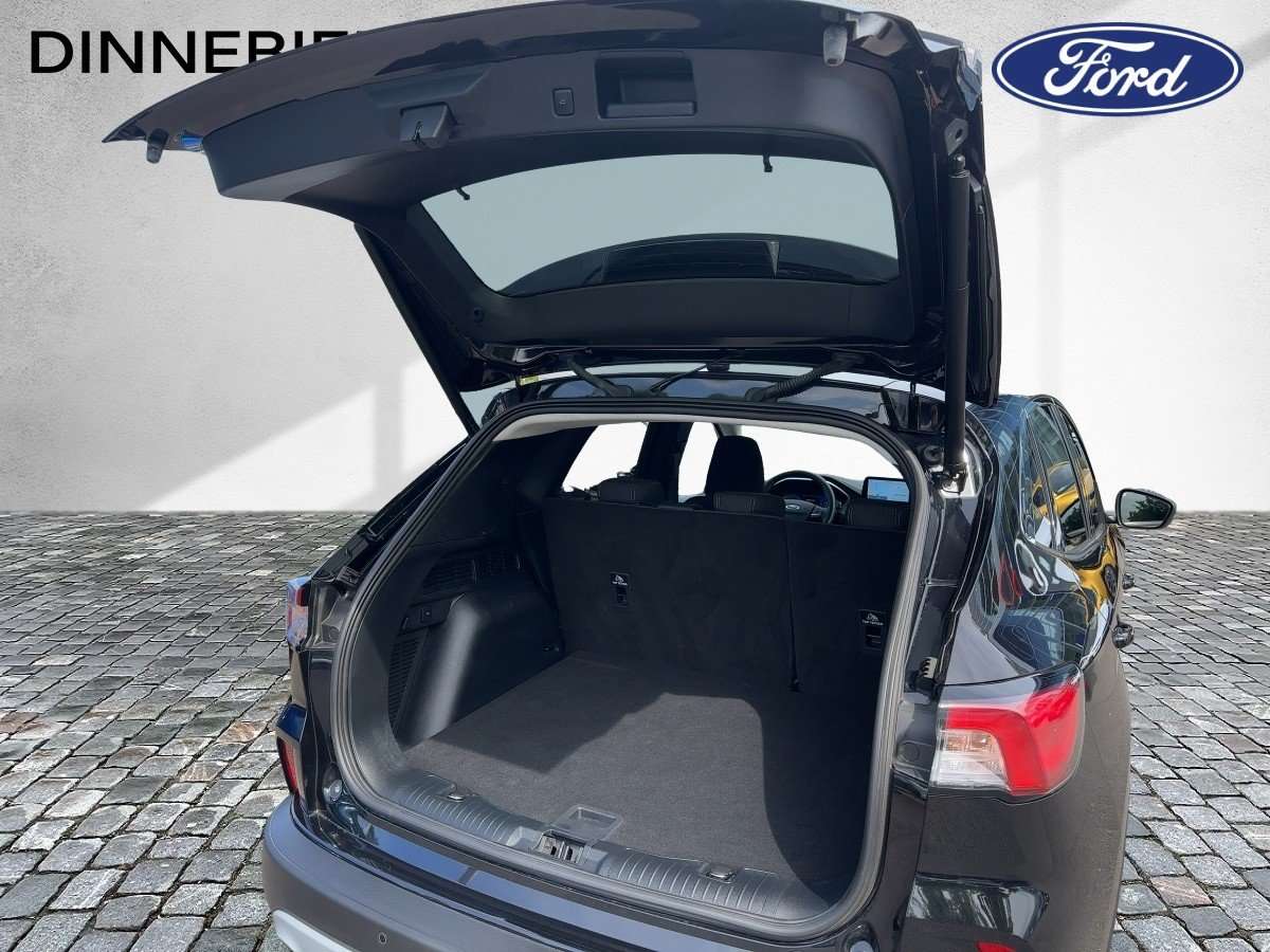 Fahrzeugbild eines Ford Kuga