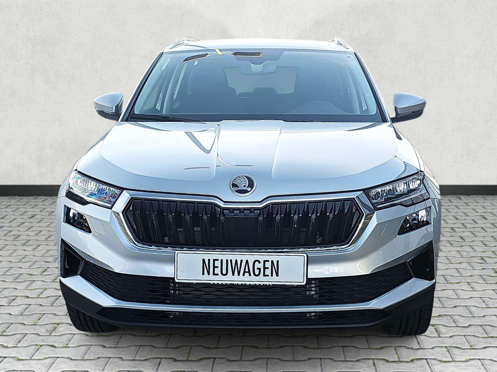 Fahrzeugbild eines Skoda Karoq