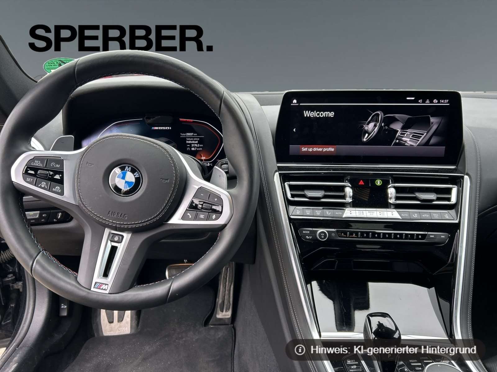 Fahrzeugbild eines BMW 8er-Reihe