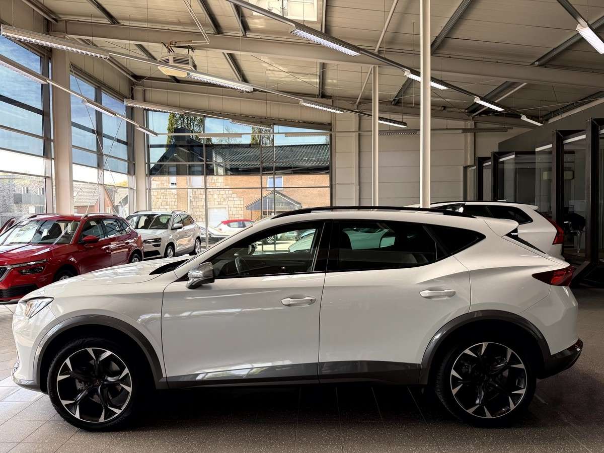 Fahrzeugbild eines CUPRA Formentor