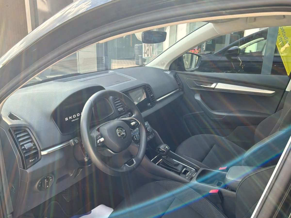 Fahrzeugbild eines Skoda Karoq