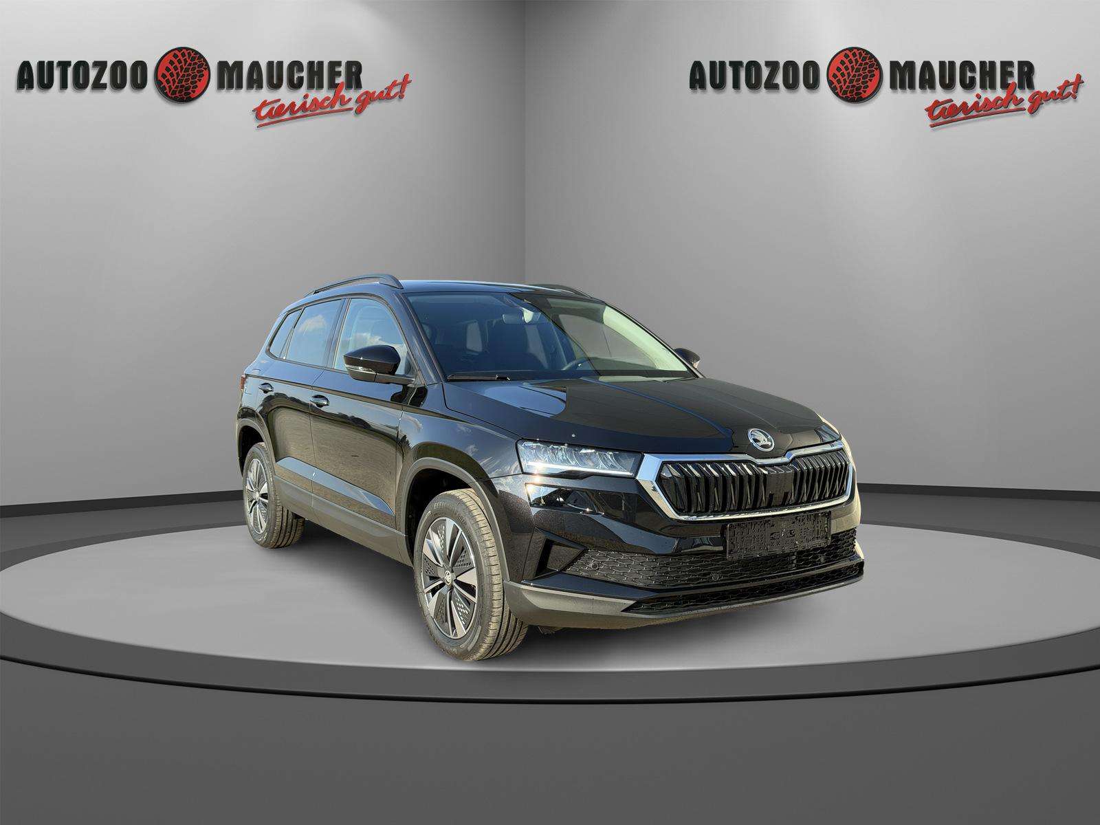 Fahrzeugbild eines Skoda Karoq