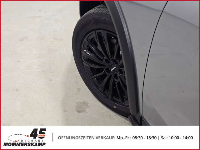 Fahrzeugbild eines GWM Haval Jolion Pro