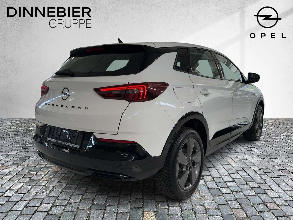Fahrzeugbild eines Opel Grandland X