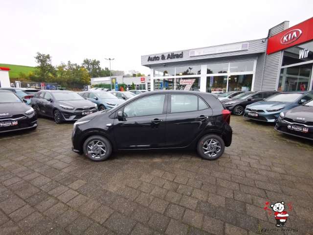 Fahrzeugbild eines Kia Picanto