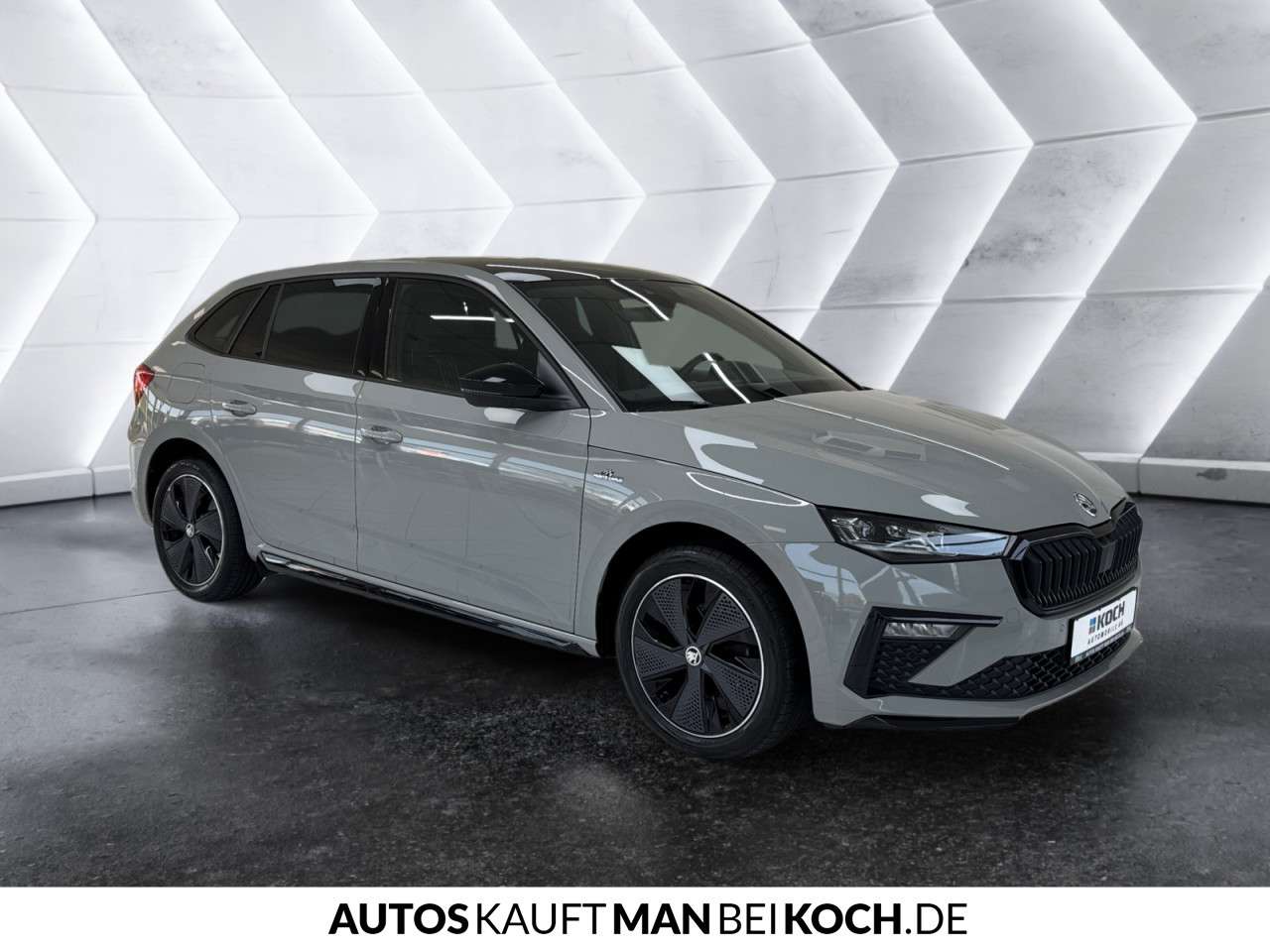 Fahrzeugbild eines Skoda Scala
