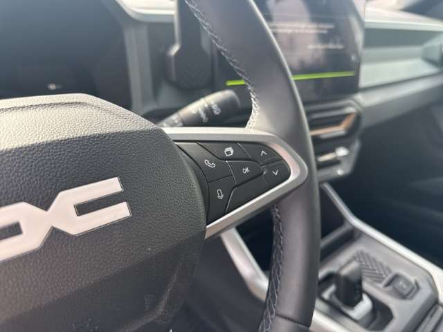 Fahrzeugbild eines Dacia Bigster