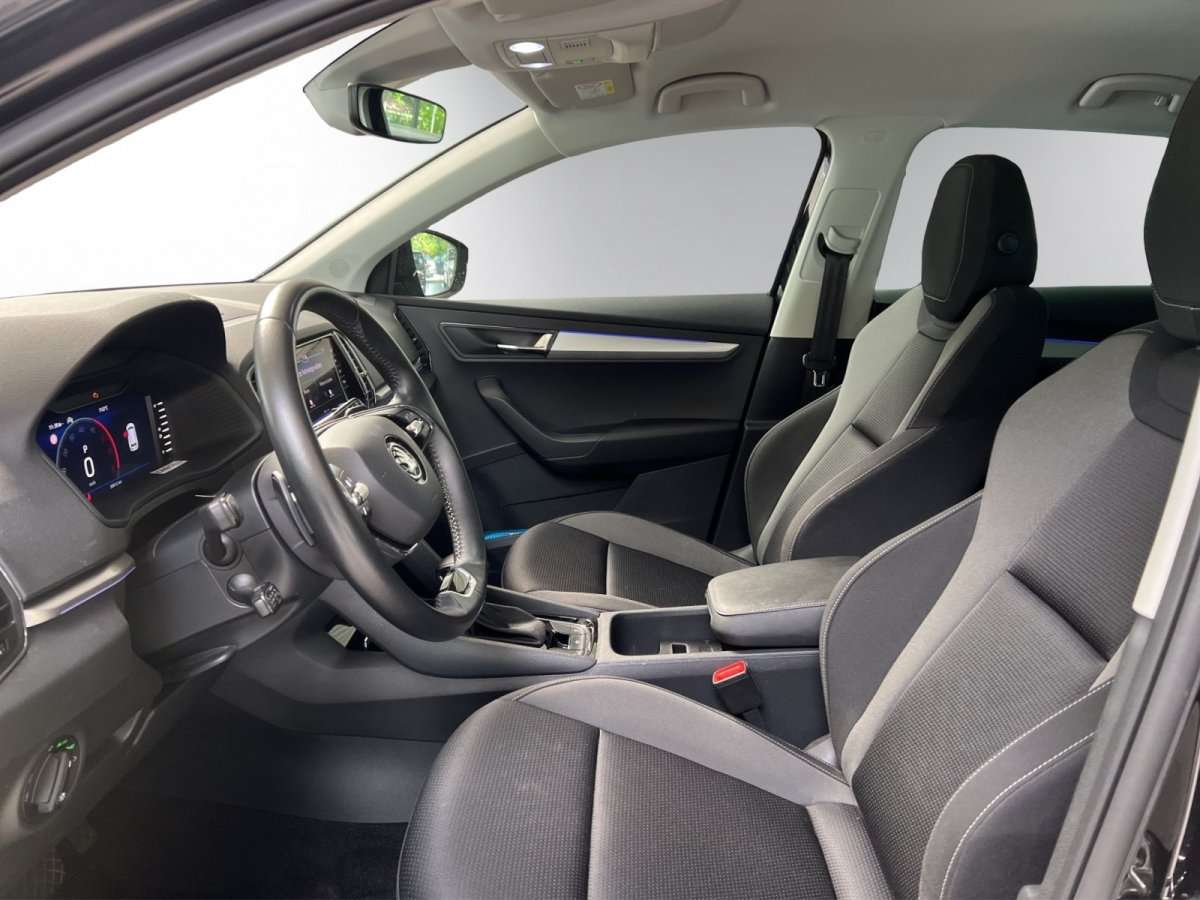 Fahrzeugbild eines Skoda Karoq