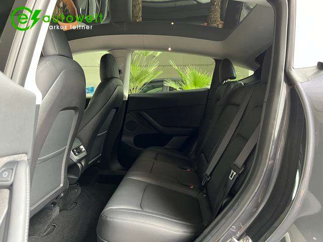 Fahrzeugbild eines TESLA Model Y