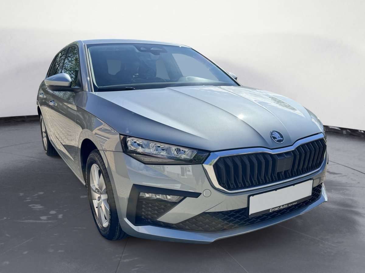 Fahrzeugbild eines Skoda Scala