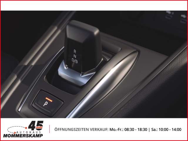 Fahrzeugbild eines Mitsubishi Grandis