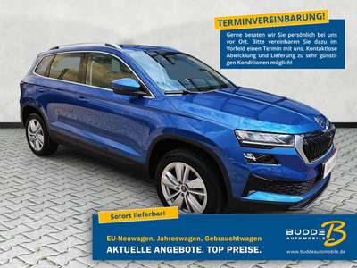 Bild Skoda Karoq