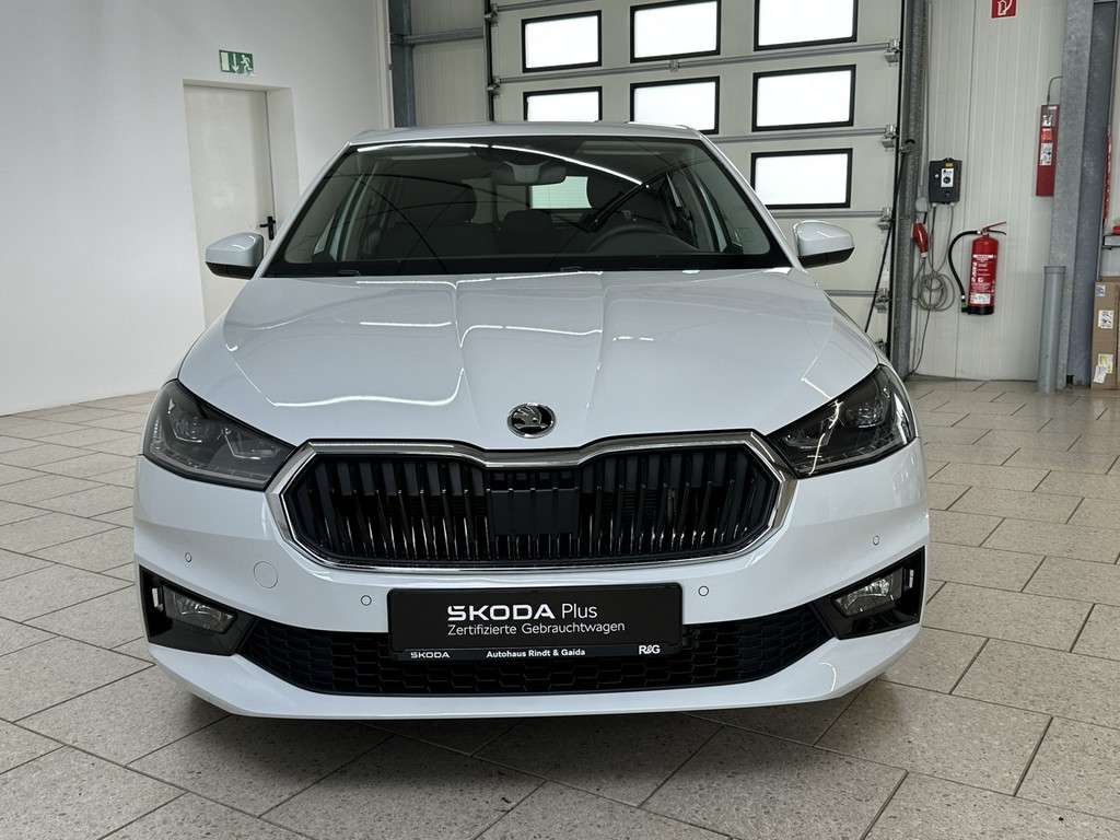 Fahrzeugbild eines Skoda Fabia