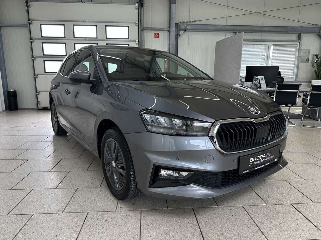 Fahrzeugbild eines Skoda Fabia
