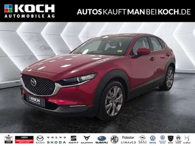 Bild Mazda CX-30