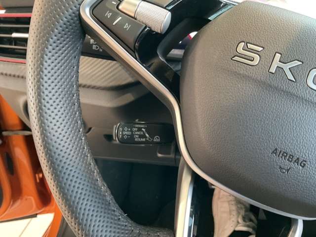 Fahrzeugbild eines Skoda Kamiq