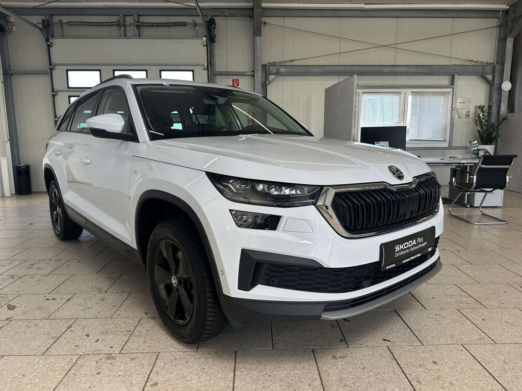 Fahrzeugbild eines Skoda Kodiaq