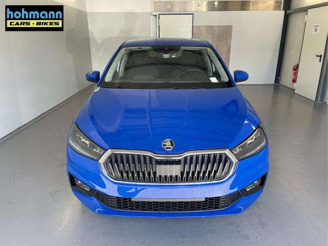 Fahrzeugbild eines Skoda Fabia