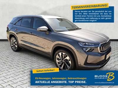 Bild Skoda Kodiaq