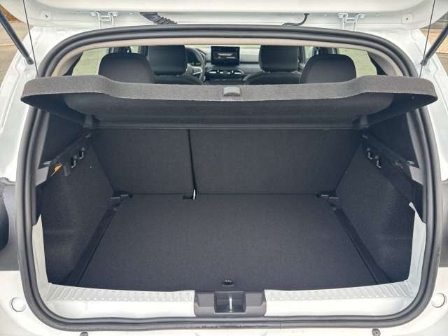 Fahrzeugbild eines Dacia Sandero