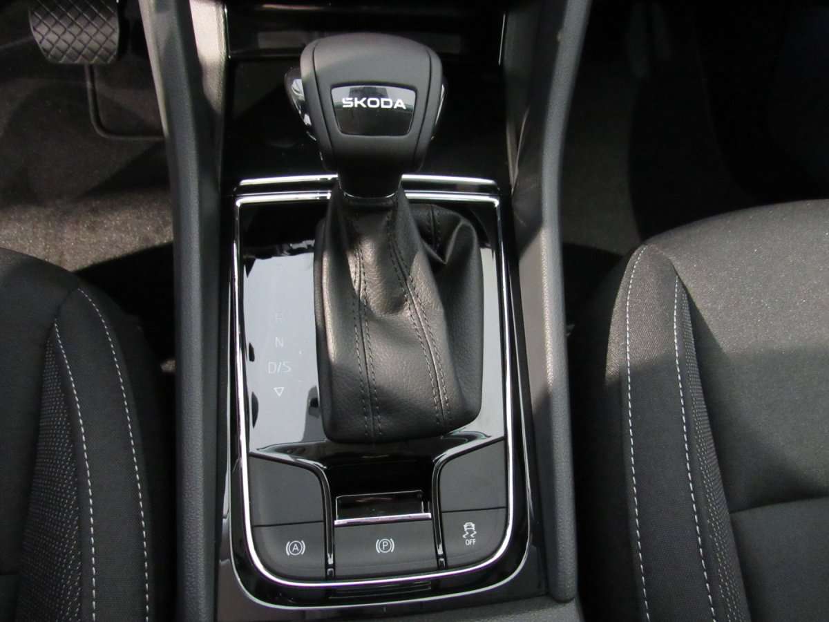 Fahrzeugbild eines Skoda Karoq