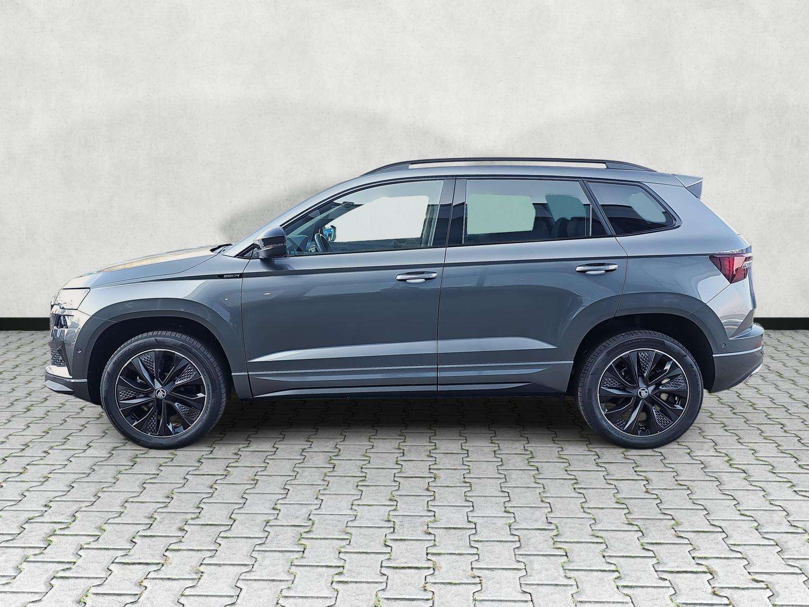 Fahrzeugbild eines Skoda Karoq