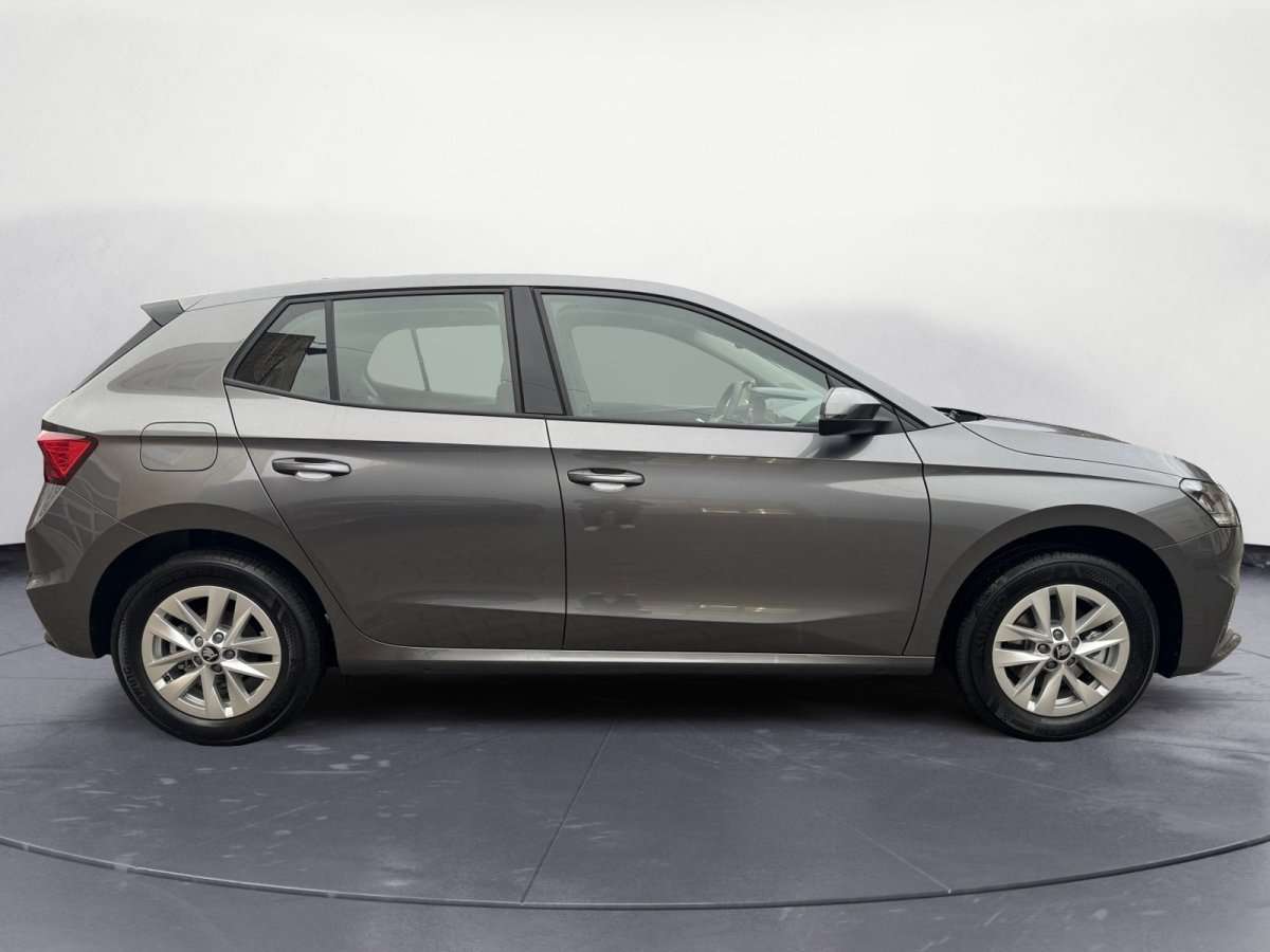 Fahrzeugbild eines Skoda Fabia