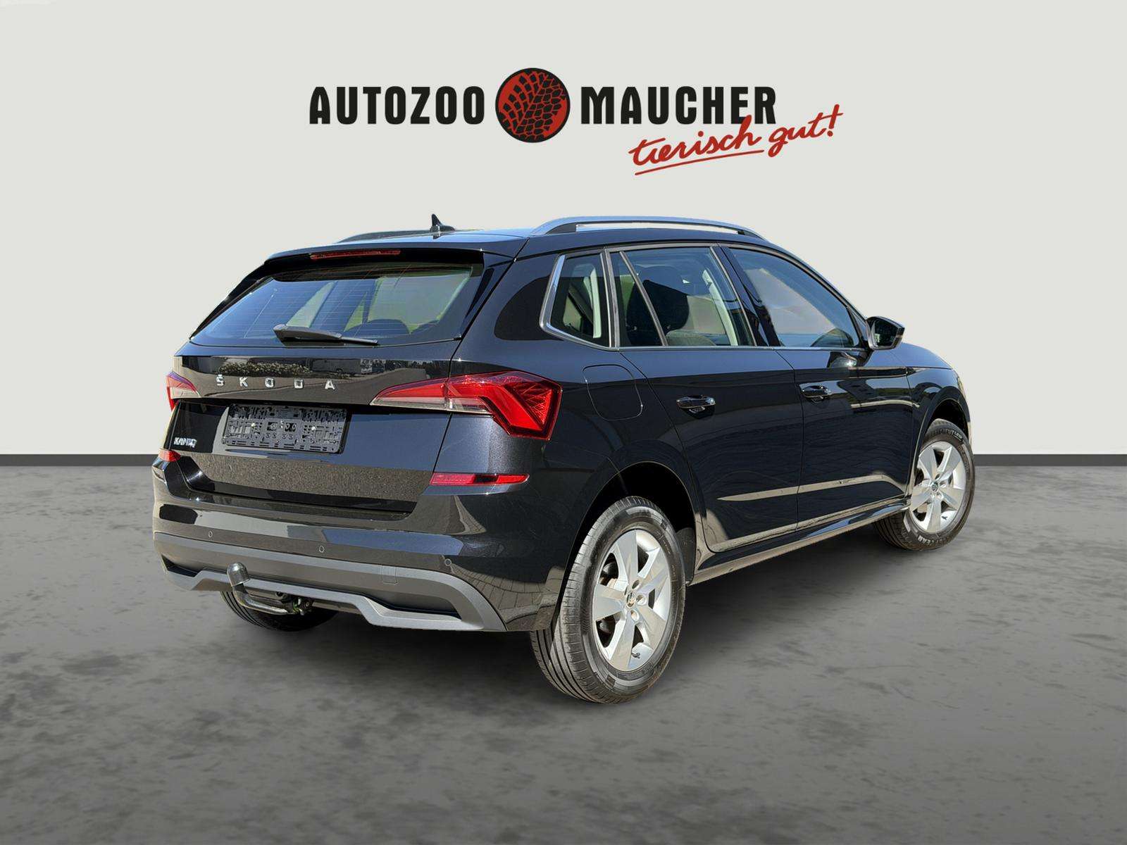 Fahrzeugbild eines Skoda Kamiq